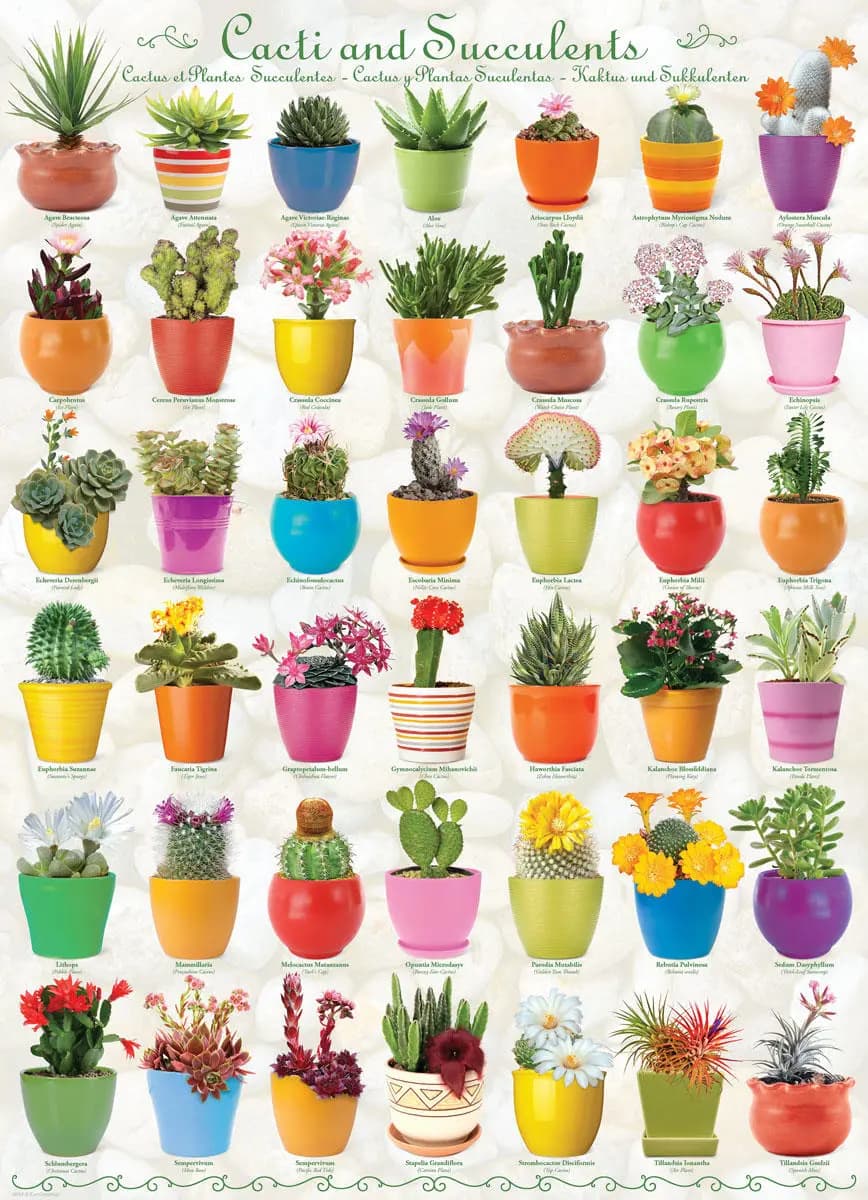 Eurographics - Puzzle Cactus - 1000 dielov