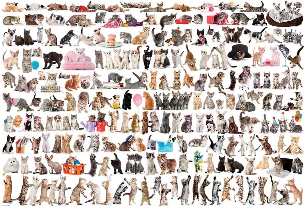 Eurographics - Puzzle Cats - 2000 dielov