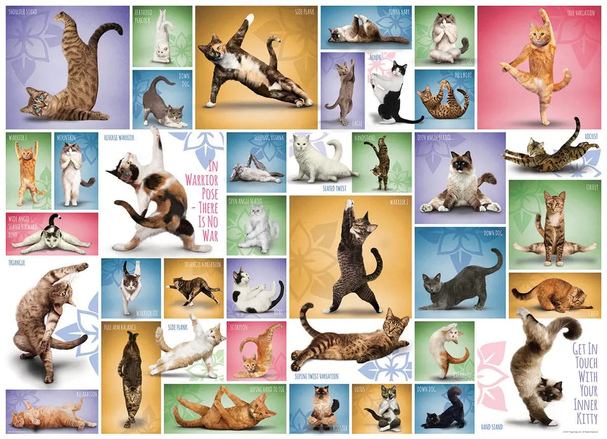 Eurographics - Puzzle Cats - yoga - 1000 dielov