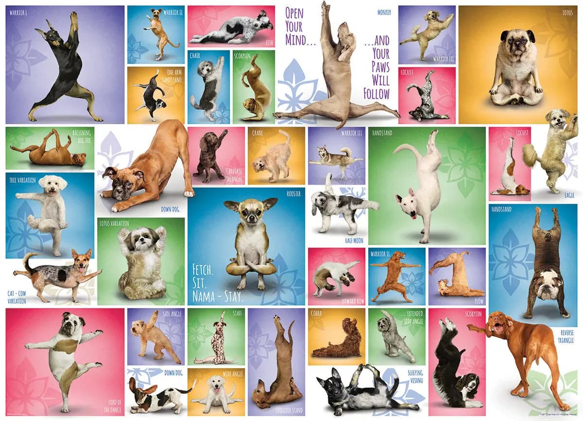 Eurographics - Puzzle Dogs - yoga - 1000 dielov