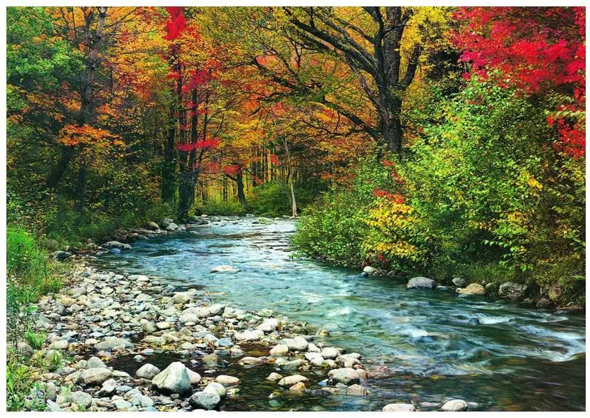 Eurographics - Puzzle Forest Stream - 1000 dielov