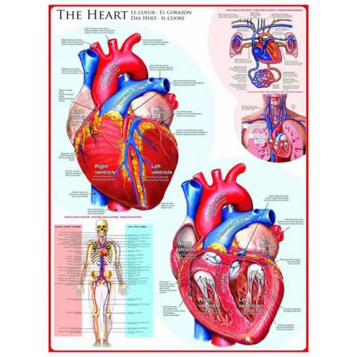 Eurographics - Puzzle Heart - 1000 dielov
