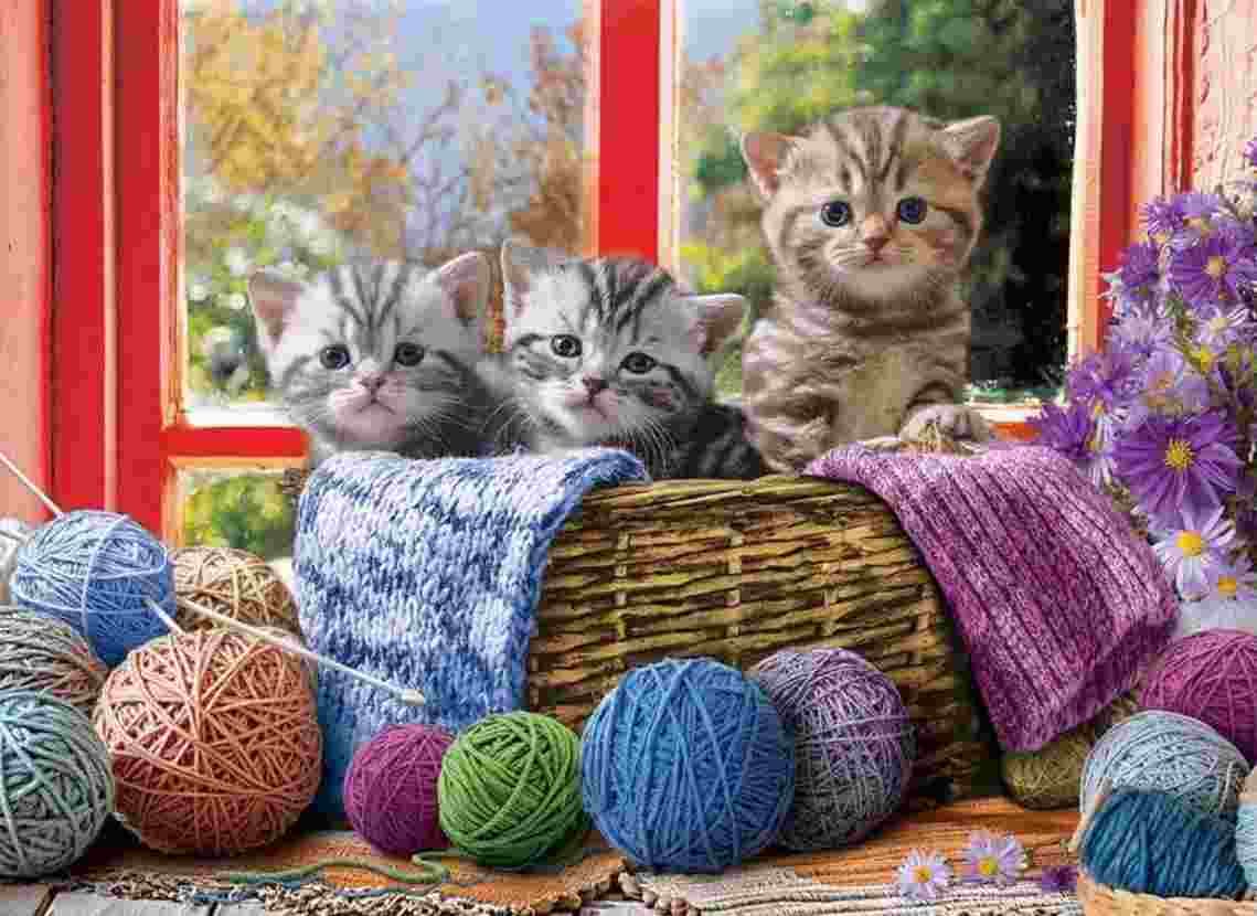 Eurographics - Puzzle Knittin Kittens - 500 dielov