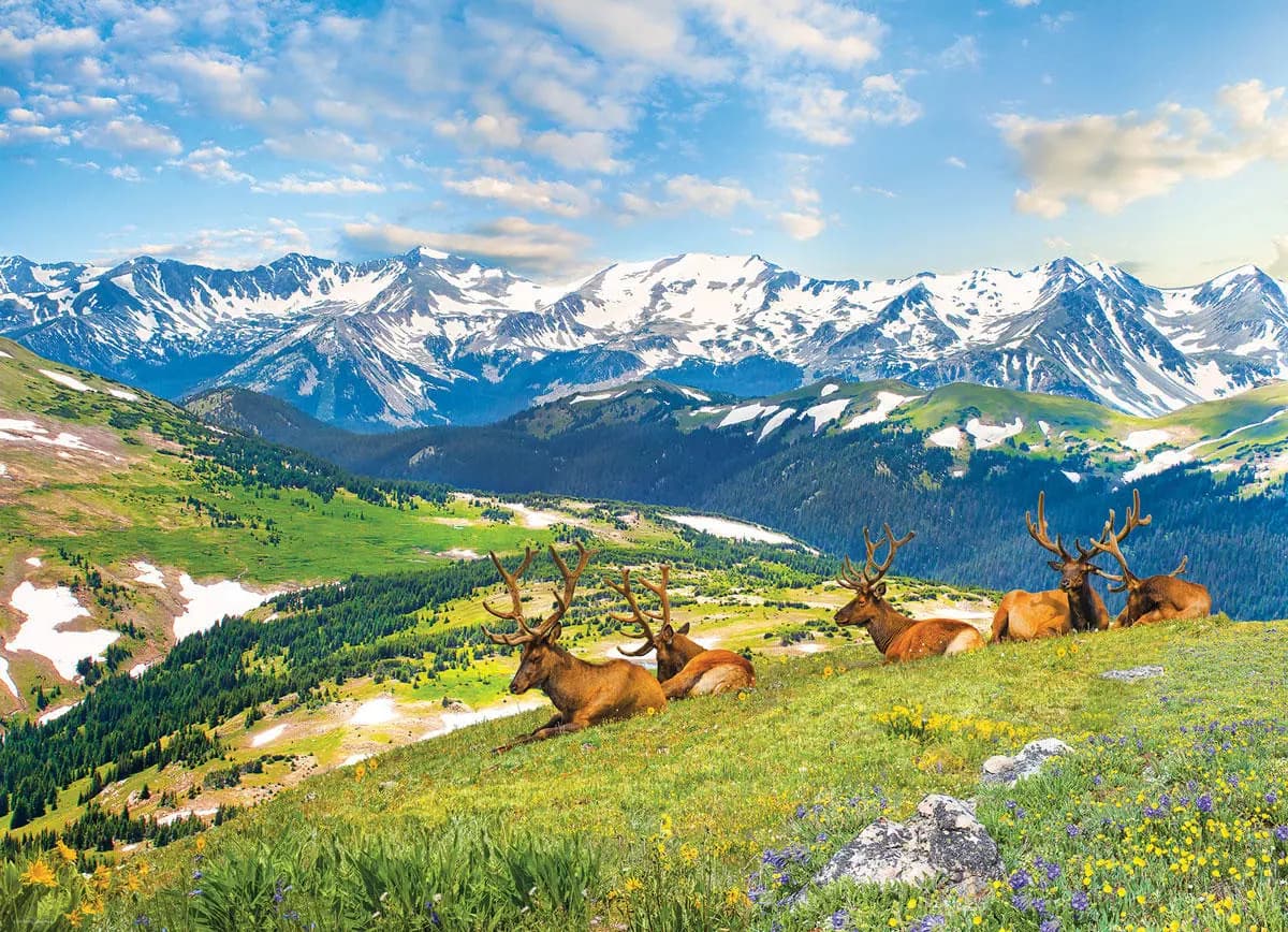 Eurographics - Puzzle Mountain Elks - 1000 dielov