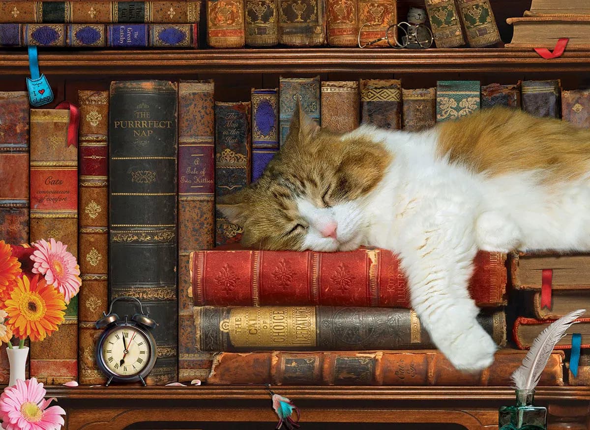 Eurographics - Puzzle The Cat Nap - 500 dielov