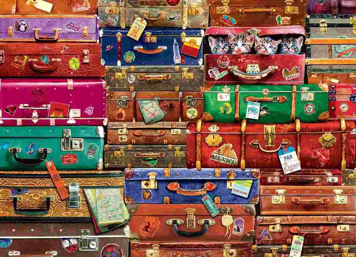 Eurographics - Puzzle Travel Suitcases - 1000 dielov