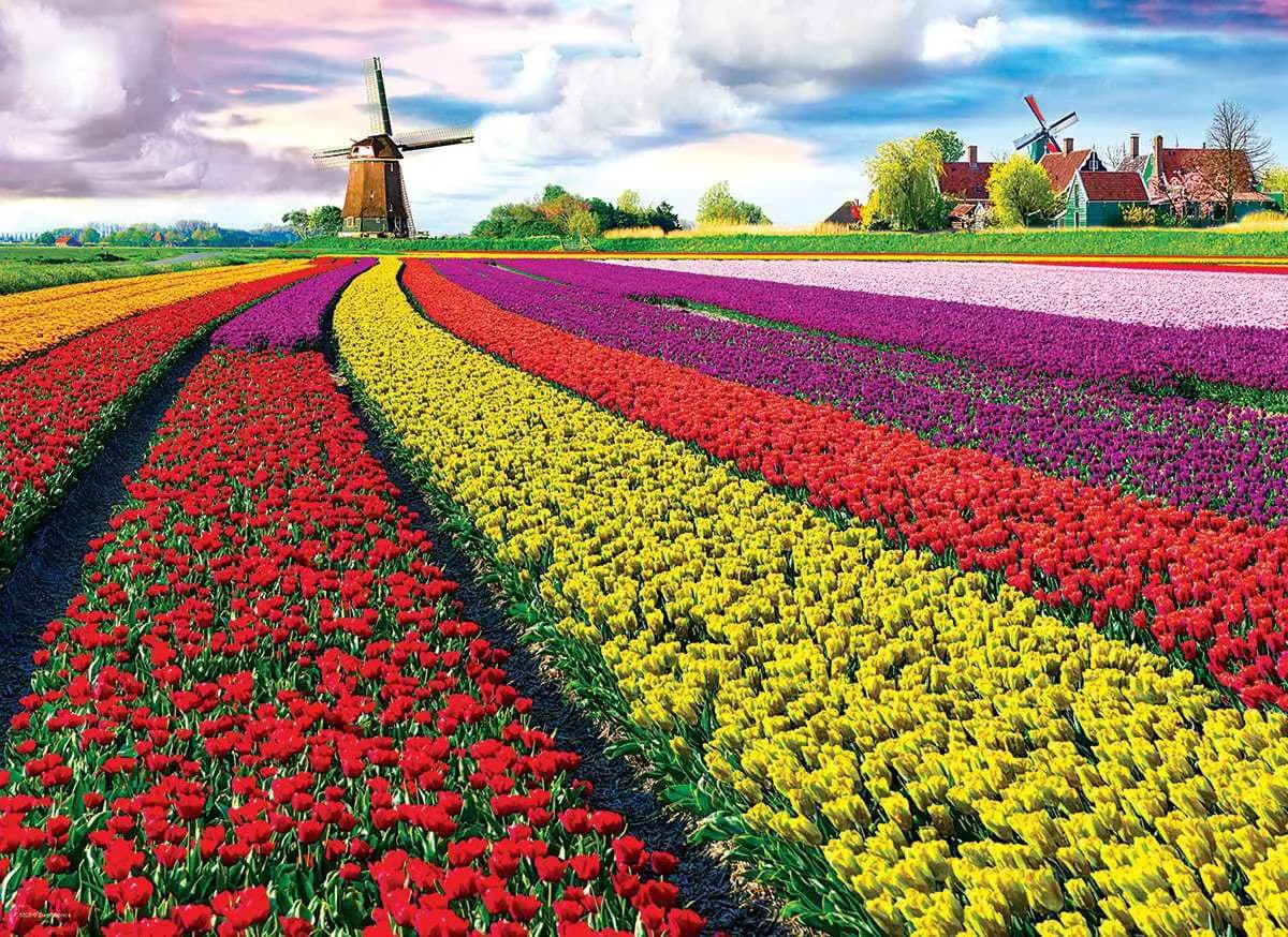 Eurographics - Puzzle Tulip Fields - 1000 dielov