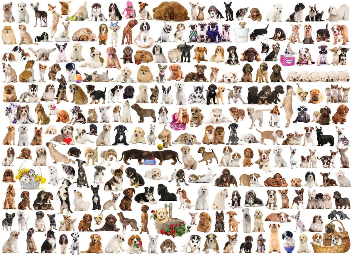 Eurographics - Puzzle World of dogs - 1000 dielov