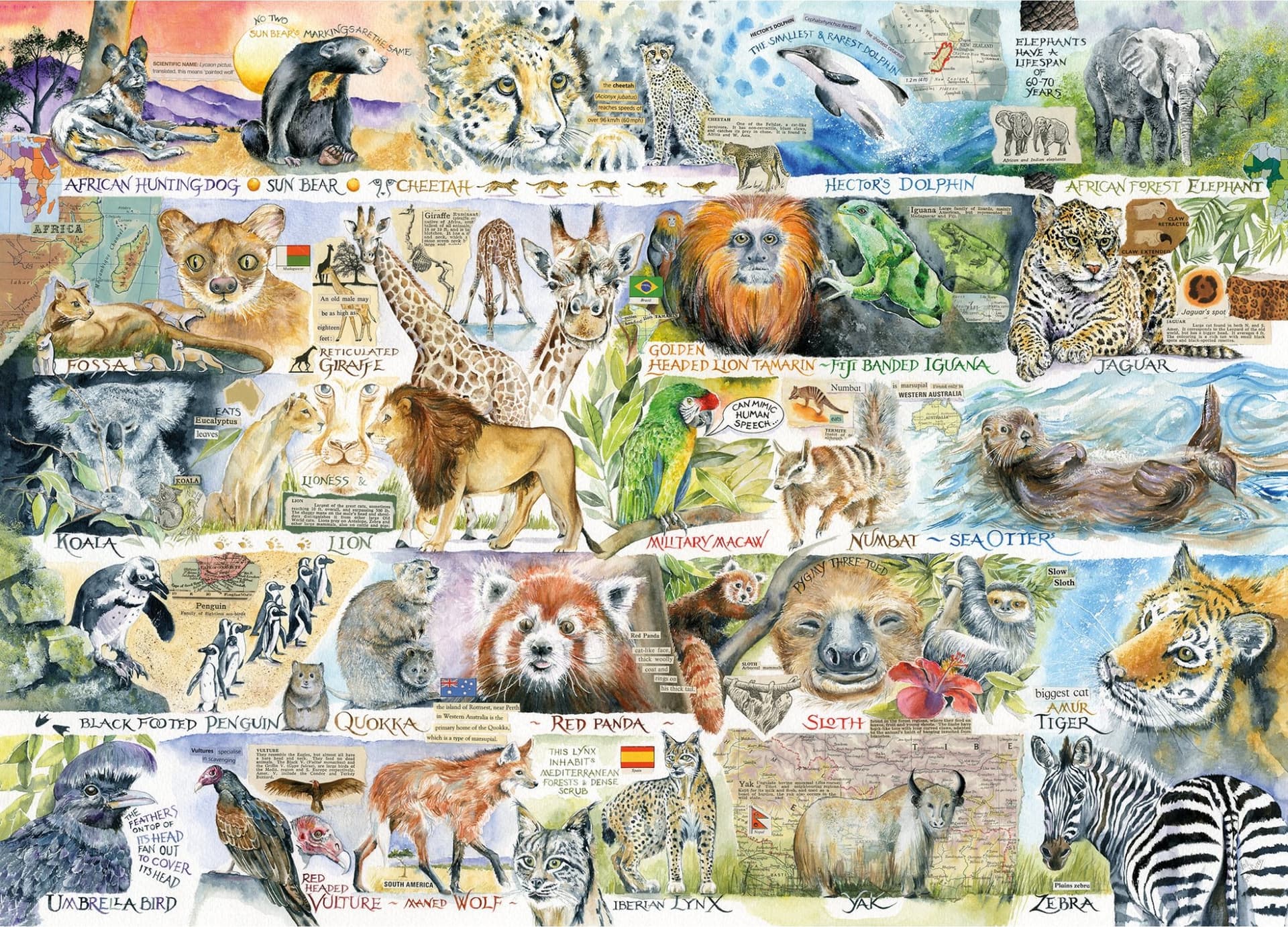 GIBSONS Puzzle Medvědi a lenochodi 1000 dílků