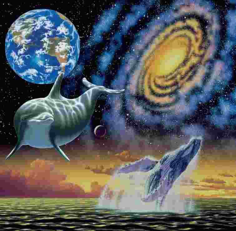 Grafika - Puzzle Cosmic Seas - 1000 dielov
