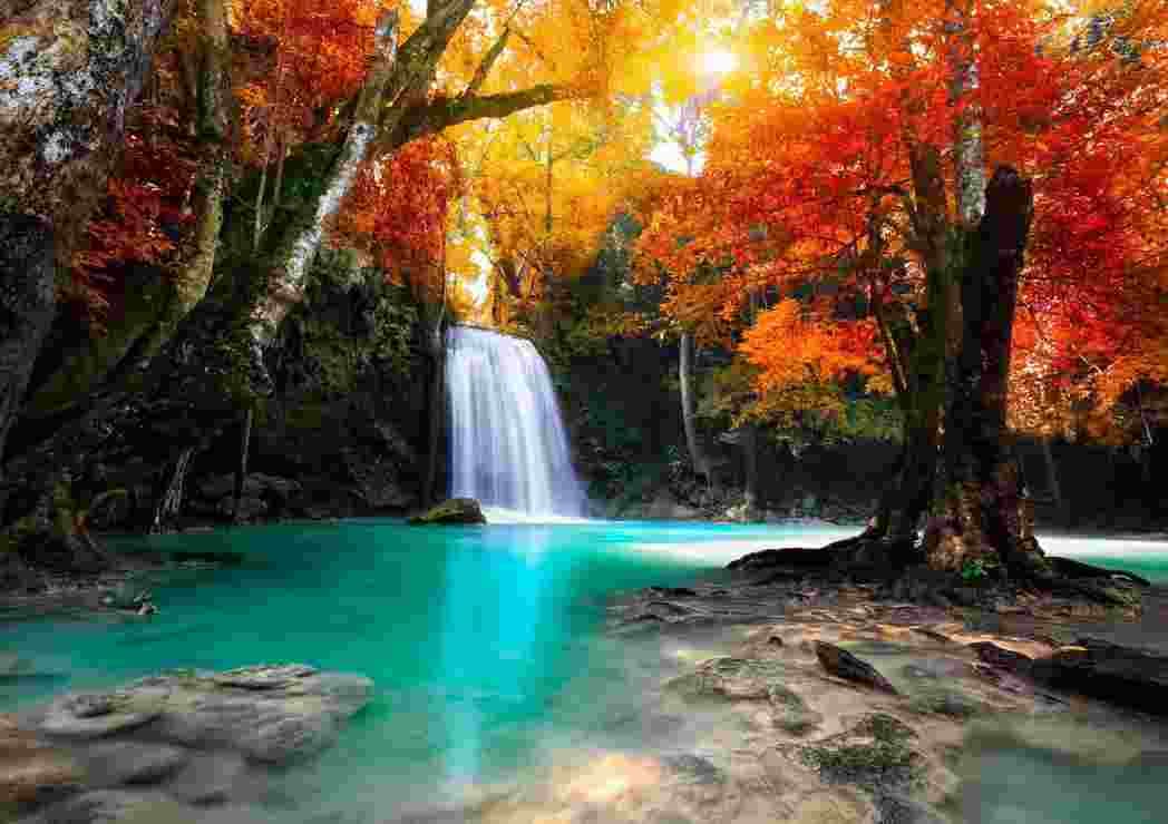 Grafika - Puzzle Deep Forest Waterfall - 1500 dielov