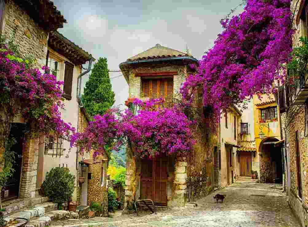 Grafika - Puzzle Provence, France - 2000 dielov