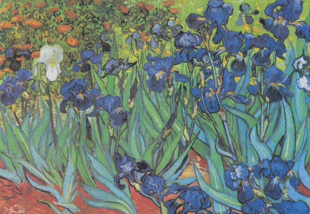 Grafika - Puzzle Vincent van Gogh: Iris - 1000 dielov