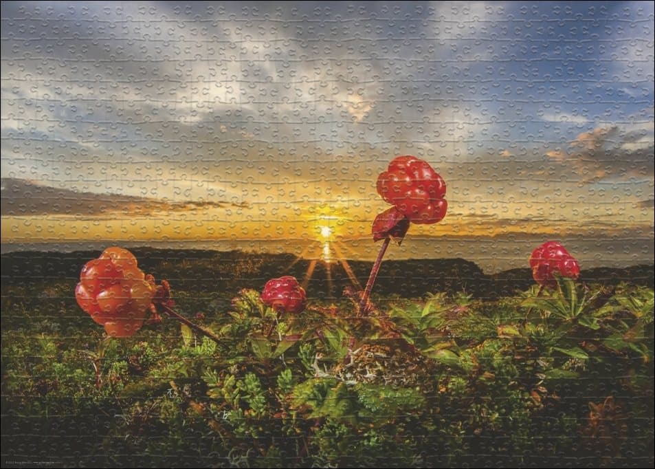 HEYE Puzzle Ostružiny moruška 1000 dílků