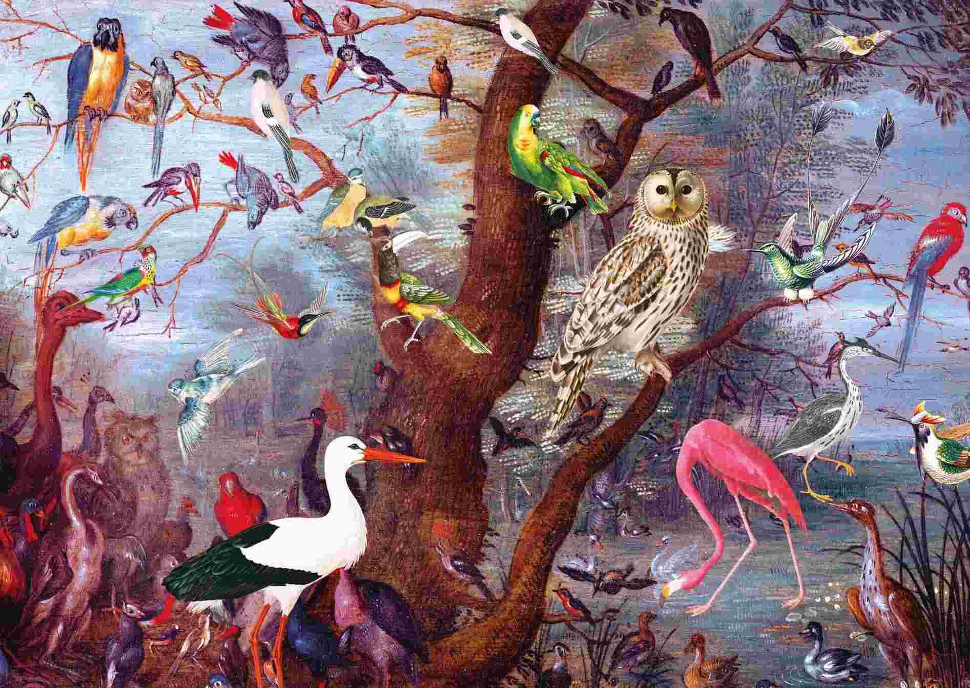 KS Games - Puzzle Fascinating Birds - 2000 dielov