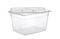 Lauben Sous Vide Container 12