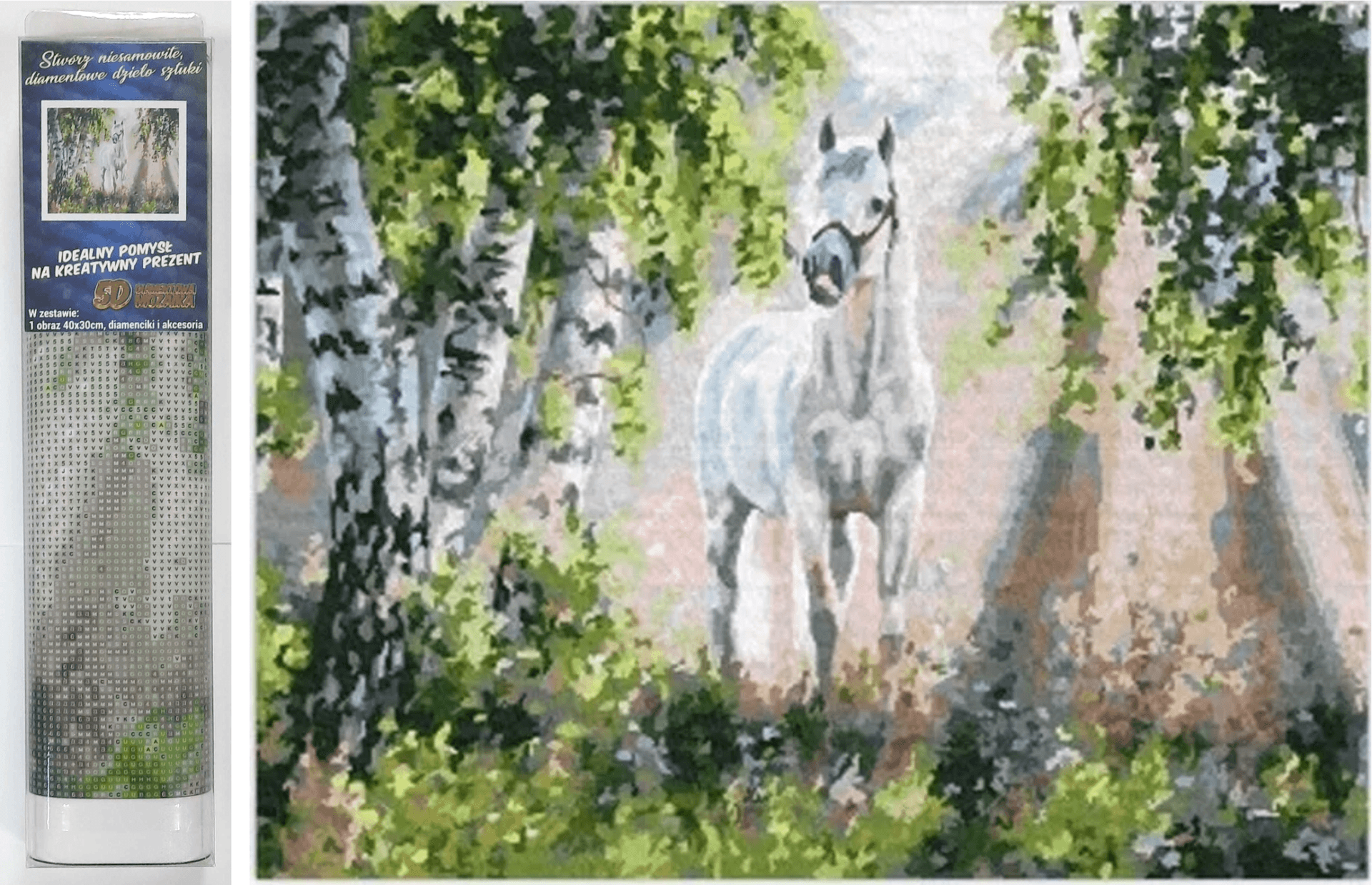 NORIMPEX Diamantové malování Bílý kůň 30x40cm