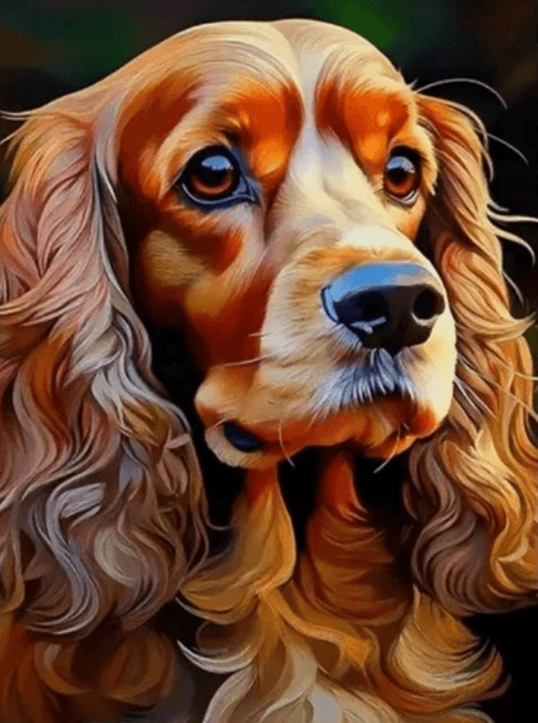 NORIMPEX Diamantové malování Kokršpaněl 30x40cm