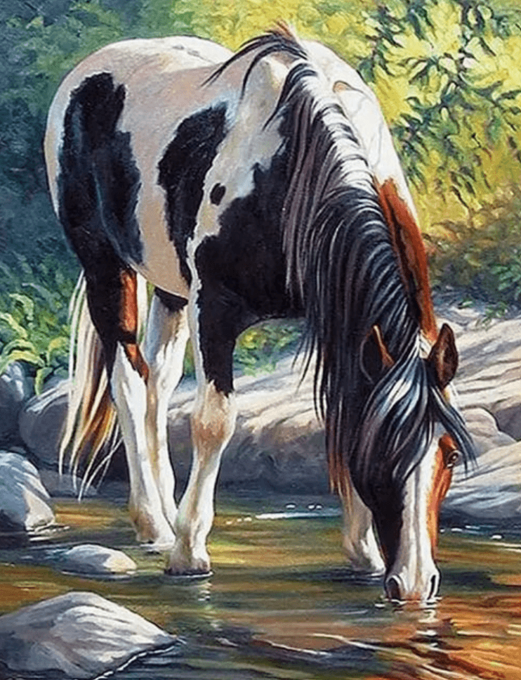 NORIMPEX Diamantové malování Kůň v řece 30x40cm