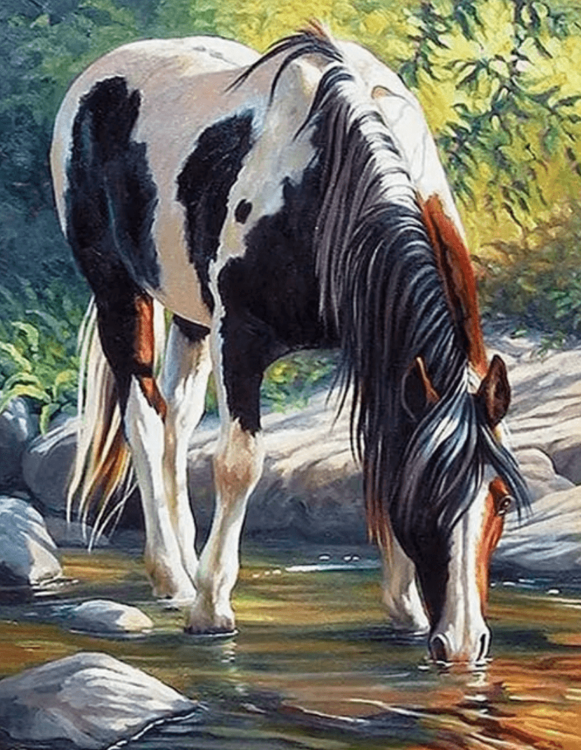 NORIMPEX Malování podle čísel Kůň u řeky 40x50cm