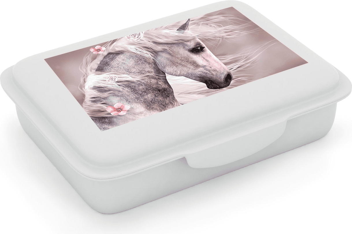 OXYBAG Box na svačinu Kůň Romantic