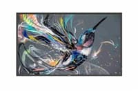 Philips LED display 75" 75BDL3511Q
