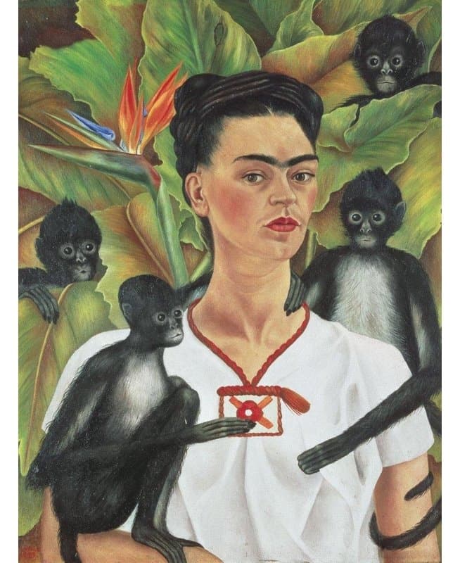 PIATNIK Puzzle Frida Kahlo 1000 dílků