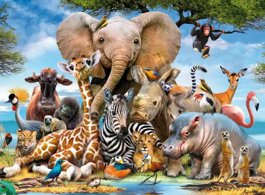 Ravensburger - Puzzle African Friends - 300 dielov