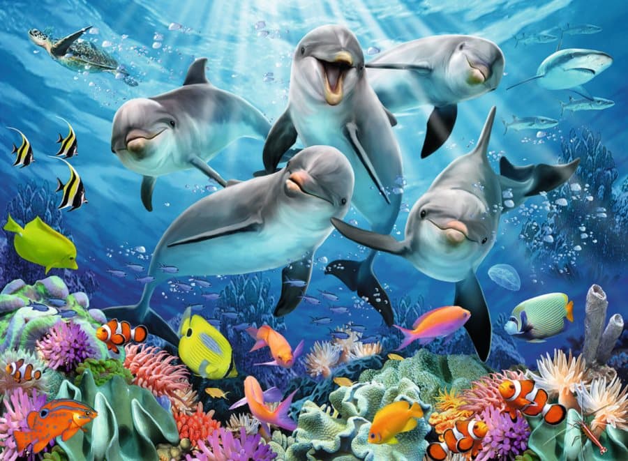 RAVENSBURGER Puzzle Delfíni 500 dílků