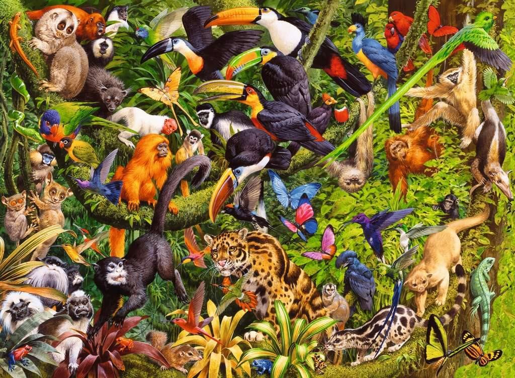 RAVENSBURGER Puzzle Deštný prales XXL 200 dílků