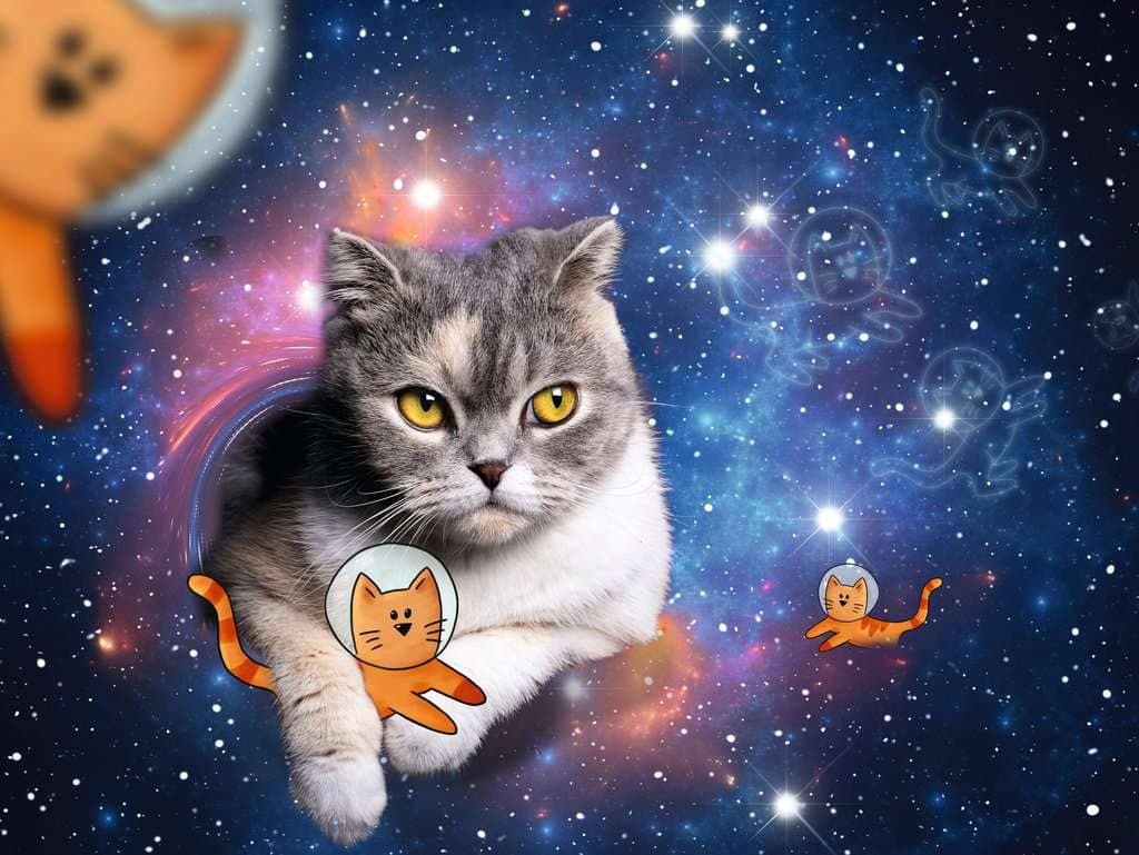 RAVENSBURGER Puzzle Kočka ve vesmíru 1500 dílků