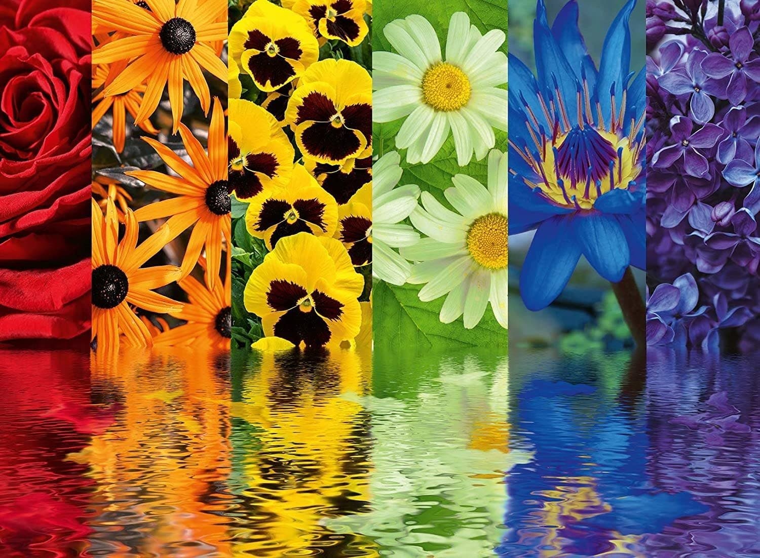 RAVENSBURGER Puzzle Květinové vzory 500 dílků