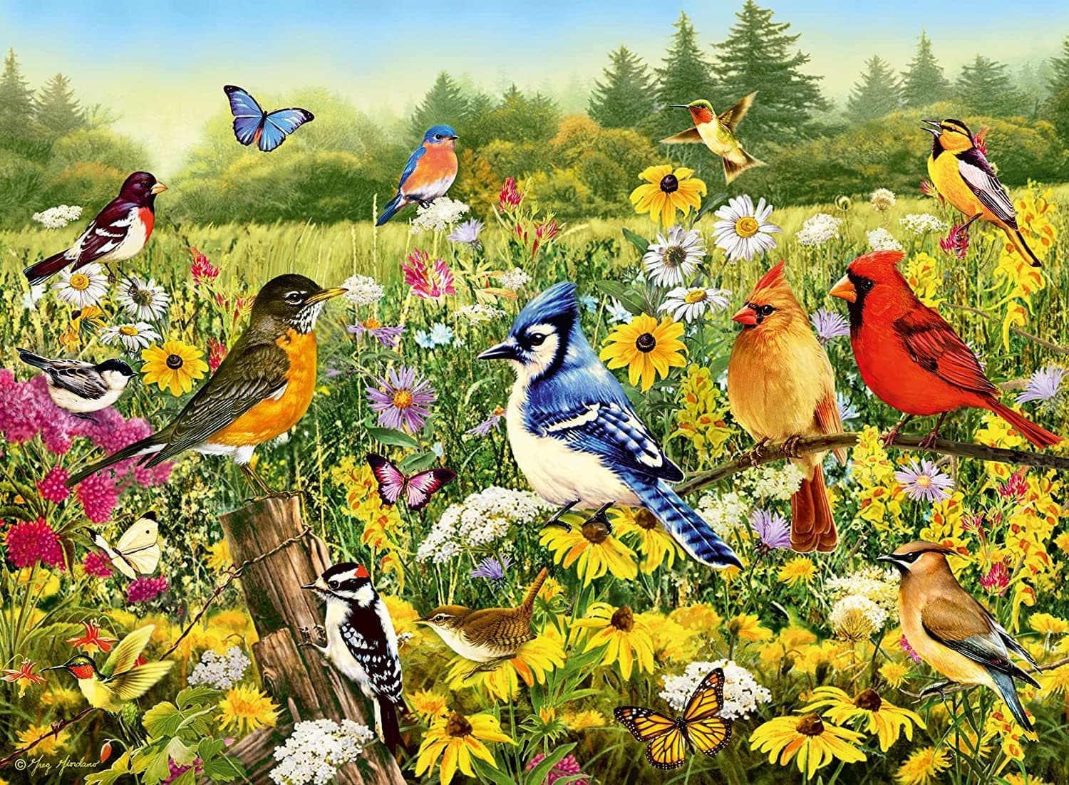 RAVENSBURGER Puzzle Ptačí louka 500 dílků