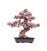 RoboTime 3D dřevěná skládačka Bonsaj sakura