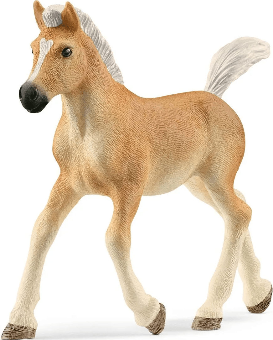 SCHLEICH Horse Club® 13951 Haflingerský kůň - hříbě