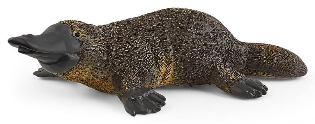 SCHLEICH Wild Life® 14840 Ptakopysk