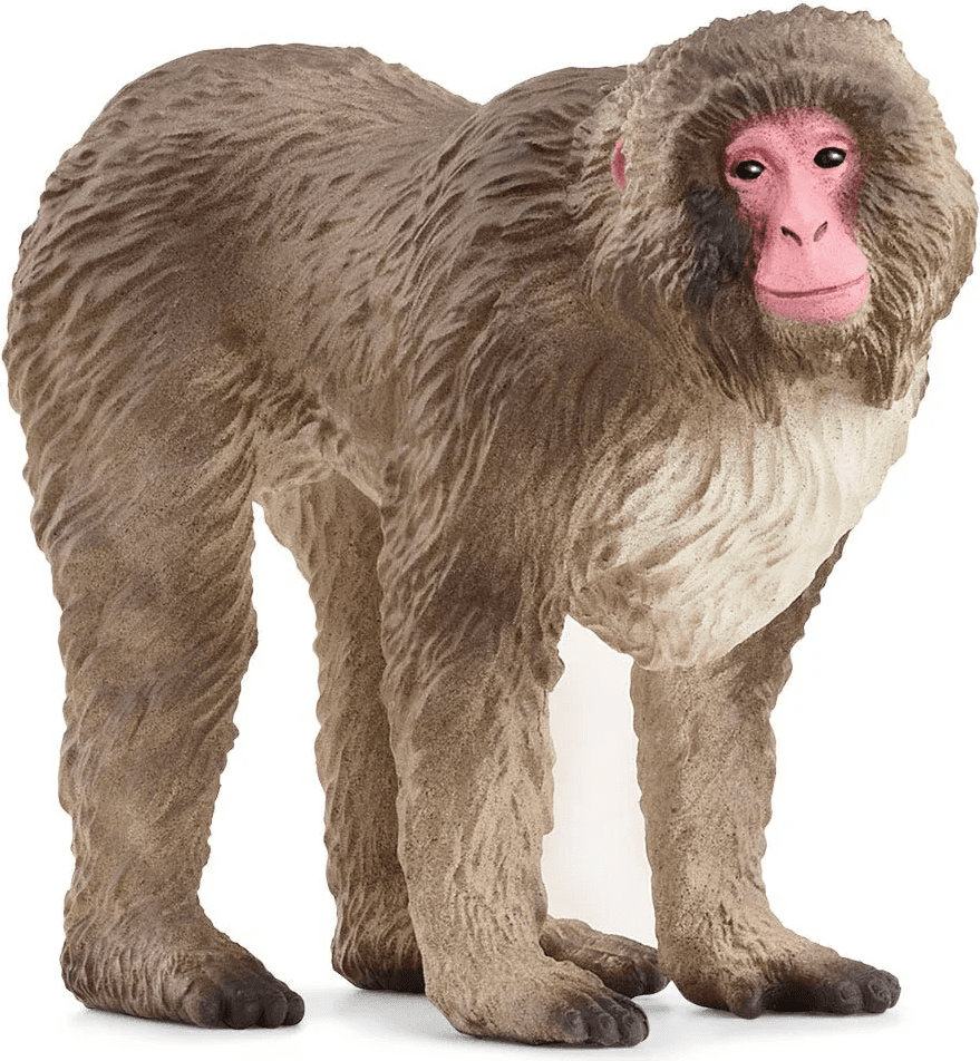SCHLEICH Wild Life® 14871 Makak červenolící