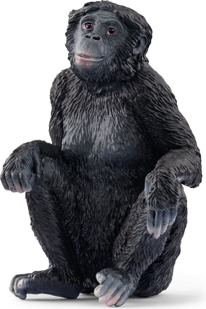 SCHLEICH Wild Life® 14875 Šimpanz Bonobo - samice