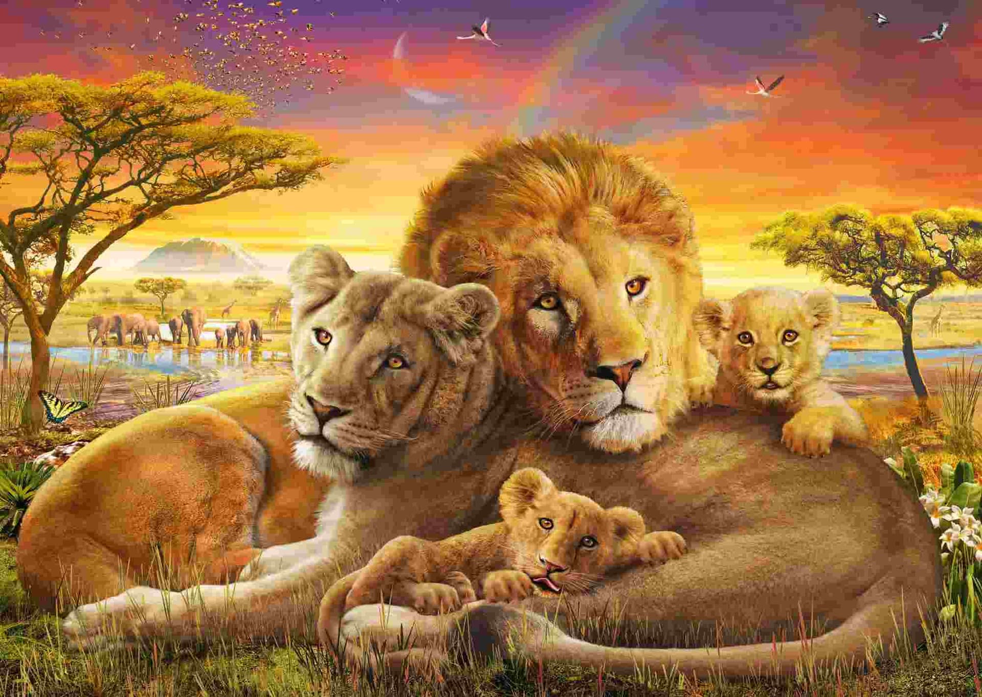 Schmidt - Puzzle Cuddling lion family - 1000 dielov
