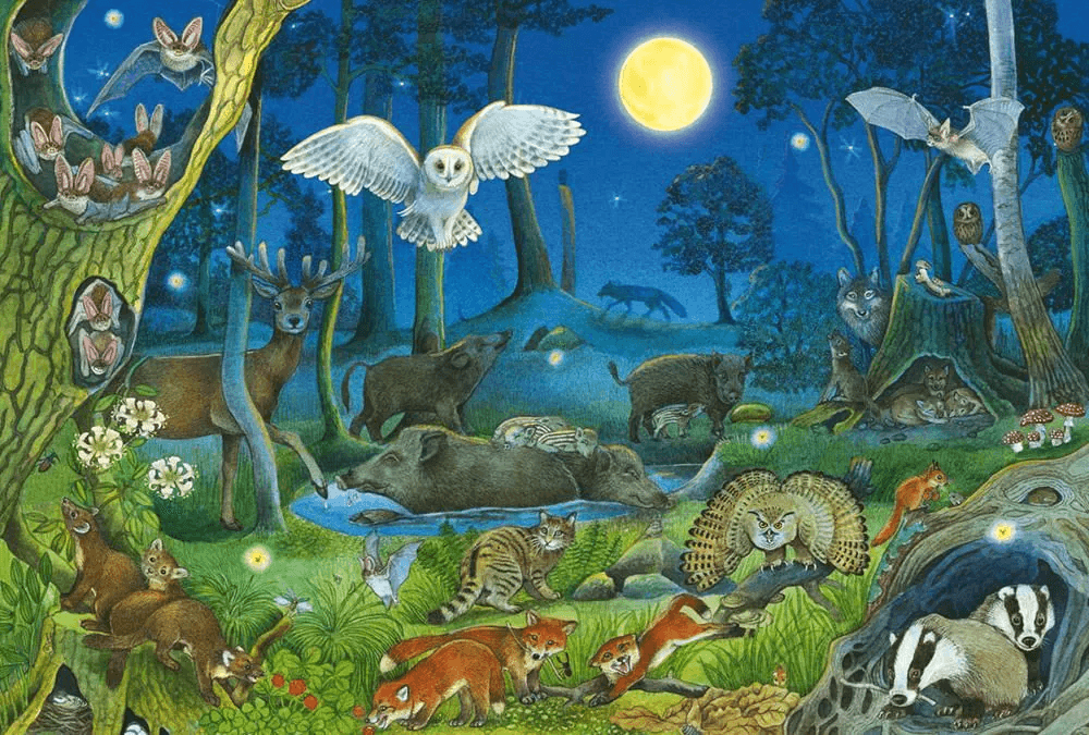 SCHMIDT Puzzle Lesní zvířátka v noci 100 dílků
