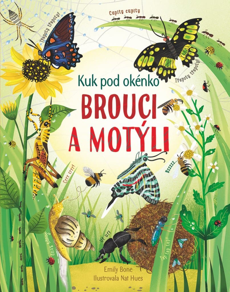 Svojtka & Co. Kuk pod okénko: Brouci a motýli