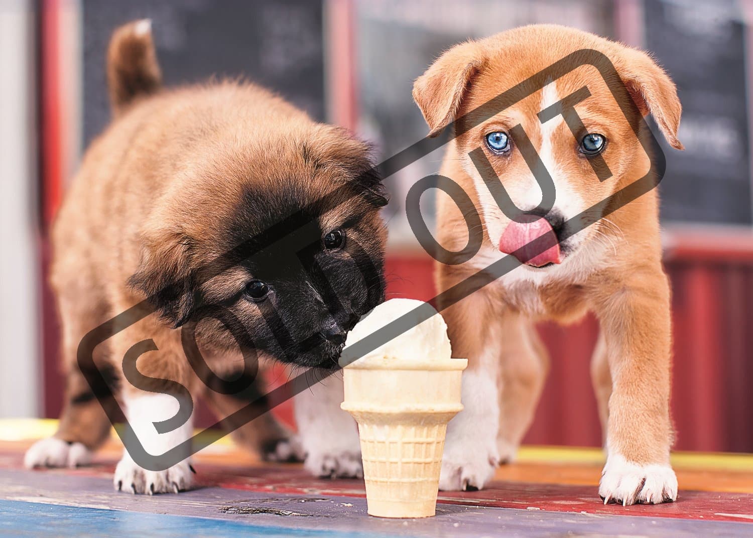 TREFL Puzzle Čas na zmrzlinu 500 dílků
