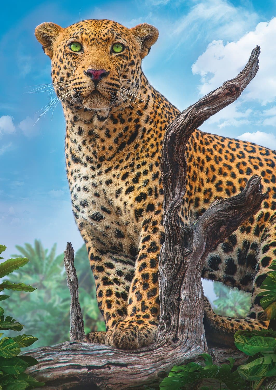 TREFL Puzzle Divoký levhart 500 dílků
