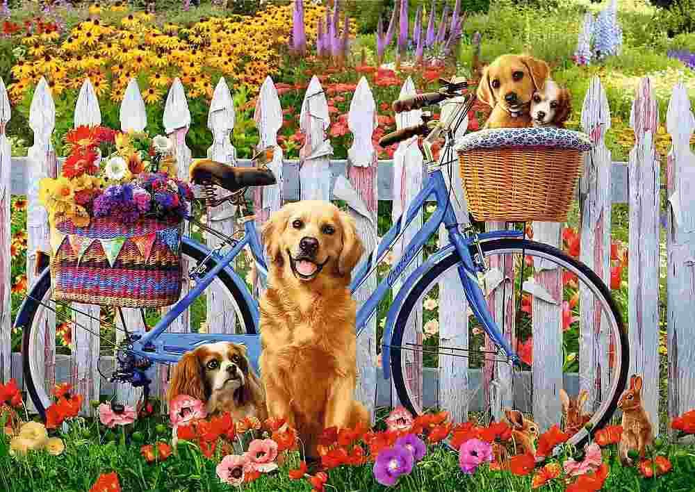 Trefl - Puzzle Dog adventure - 500 dielov