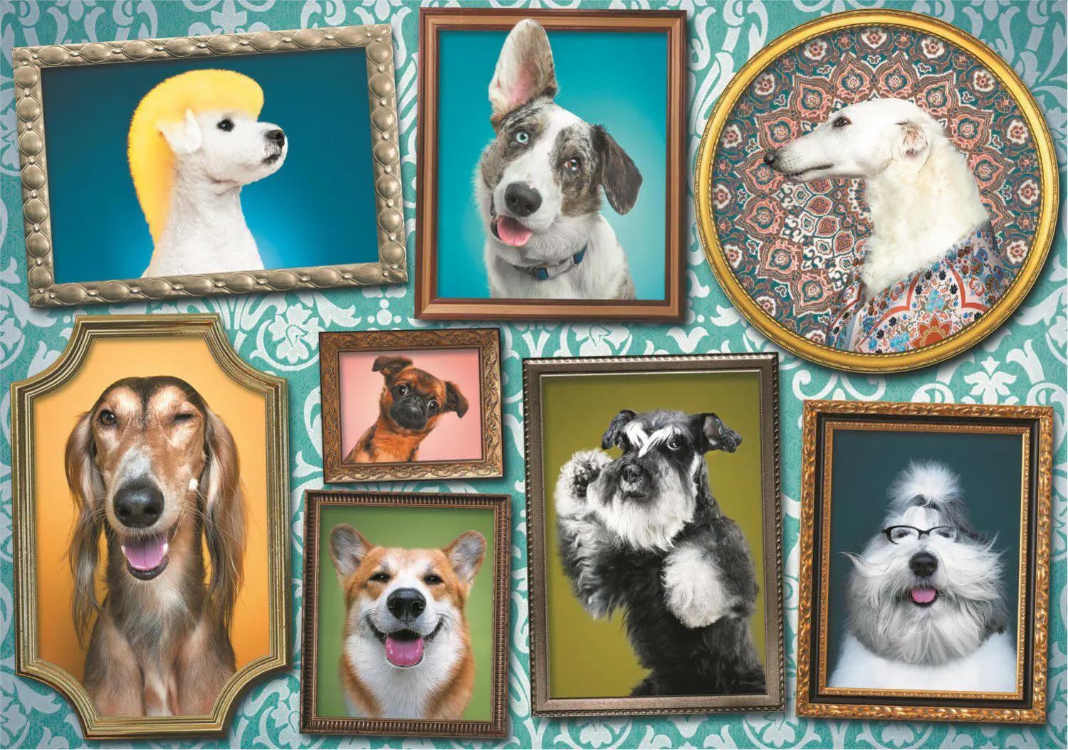 Trefl - Puzzle Happy gallery of dogs - 1000 dielov
