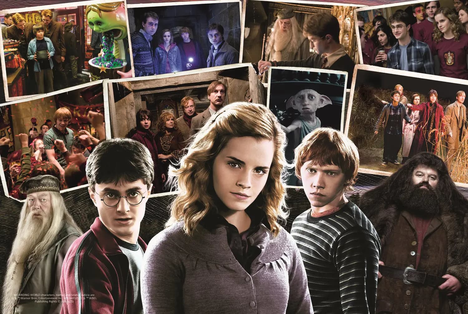 Trefl - Puzzle Harry Potter and friends - 160 dielov