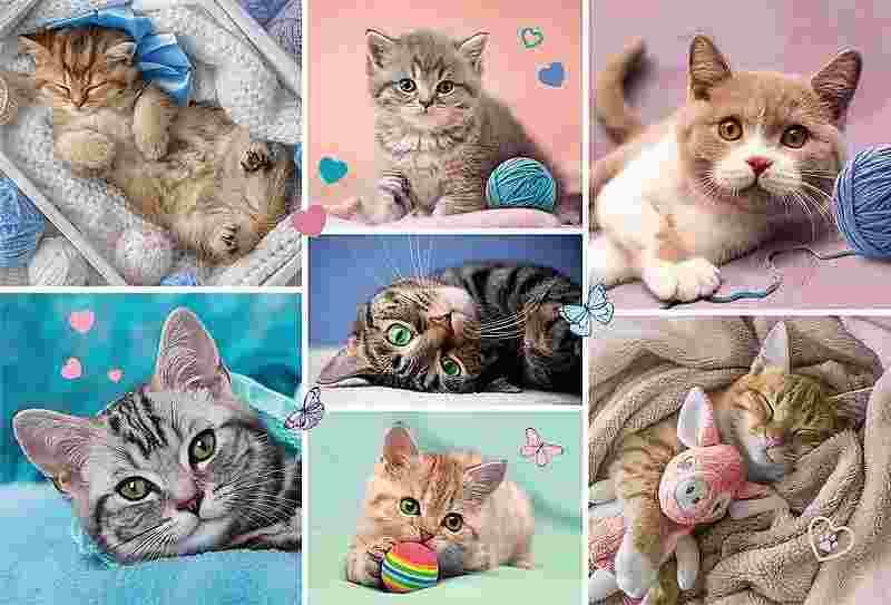 Trefl - Puzzle In the catss world - 100 dielov