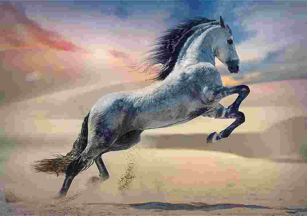 Trefl - Puzzle Majestic Horse - 1000 dielov