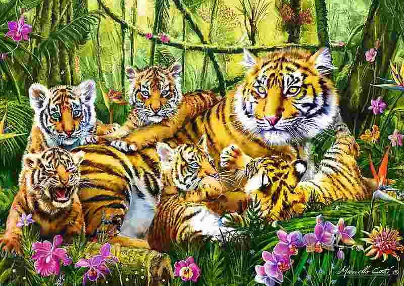 Trefl - Puzzle Tiger family - 500 dielov