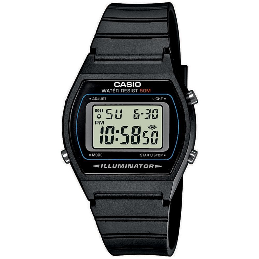 W-202-1AVEF CASIO (247)